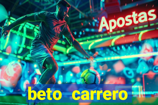 beto carrero cidades proximas
